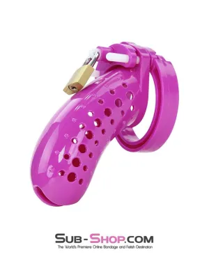 1603AR      The Stockade Purple Cage Male Chastity Device - MEGA Deal