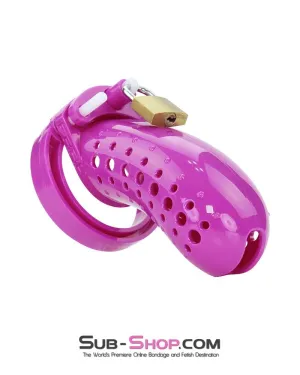 1603AR      The Stockade Purple Cage Male Chastity Device - MEGA Deal