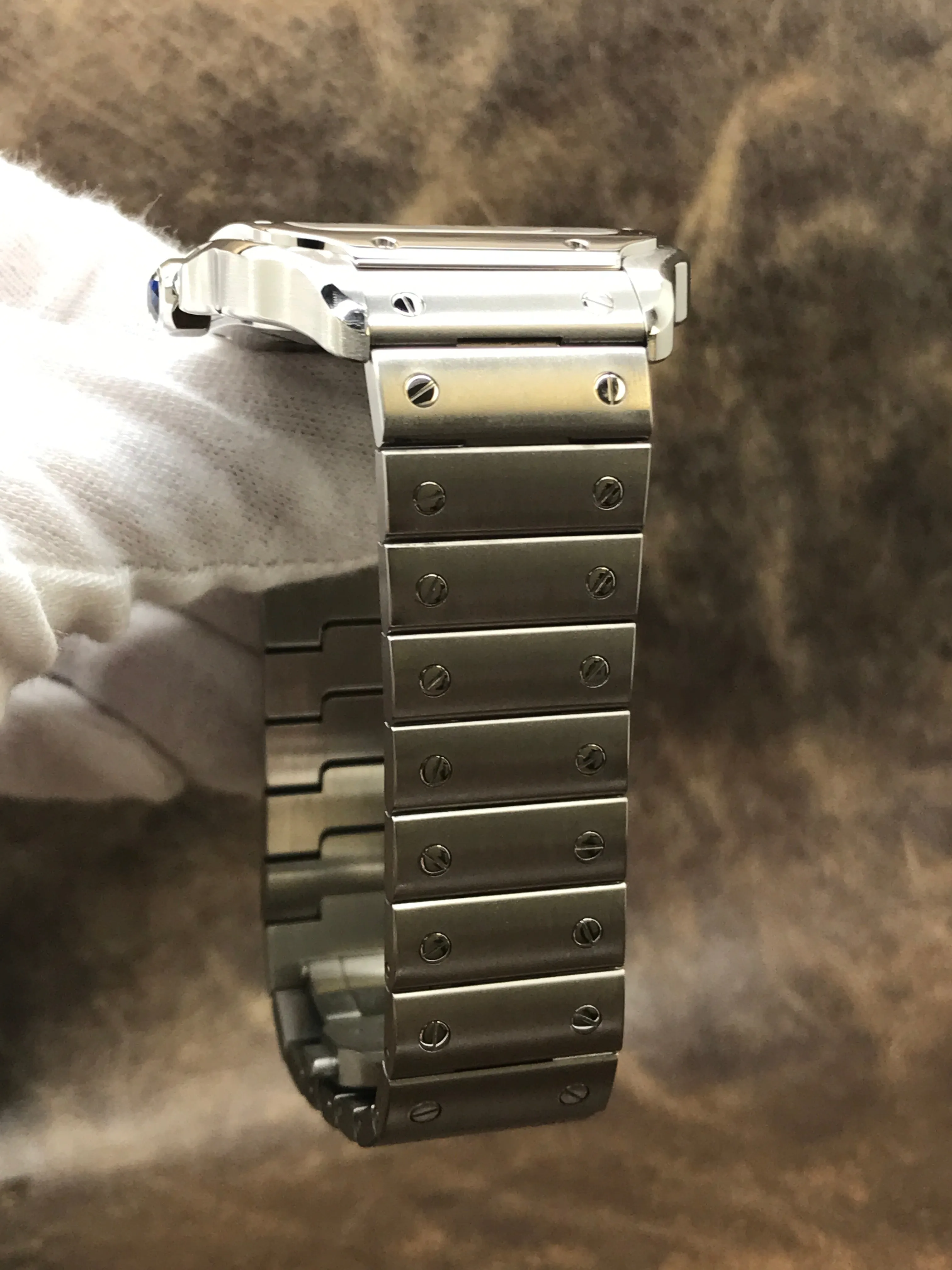 Cartier Santos Large WSSA0018 Silvered Opaline Dial Automatic Watch