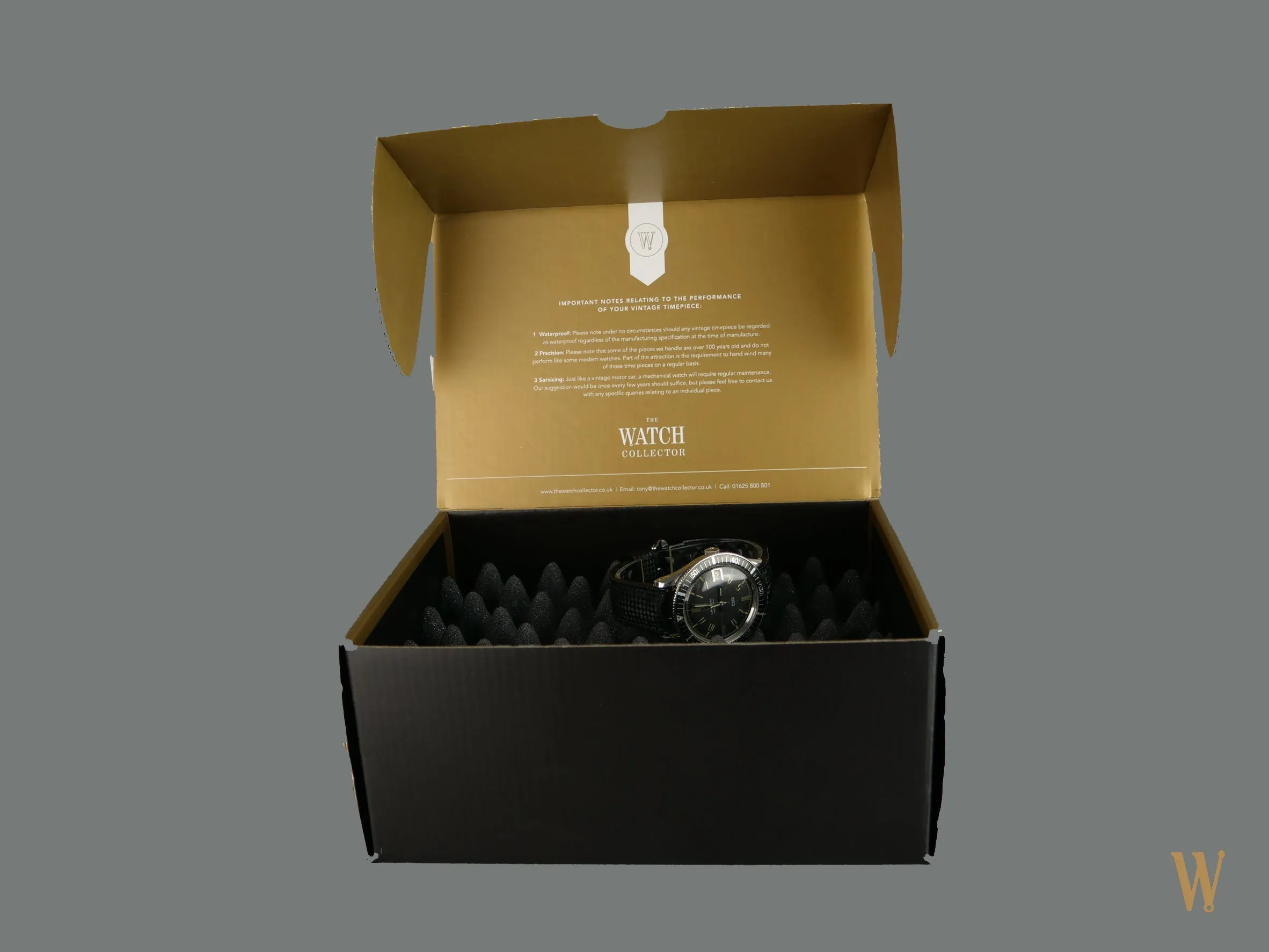Certina DS Dive Watch.