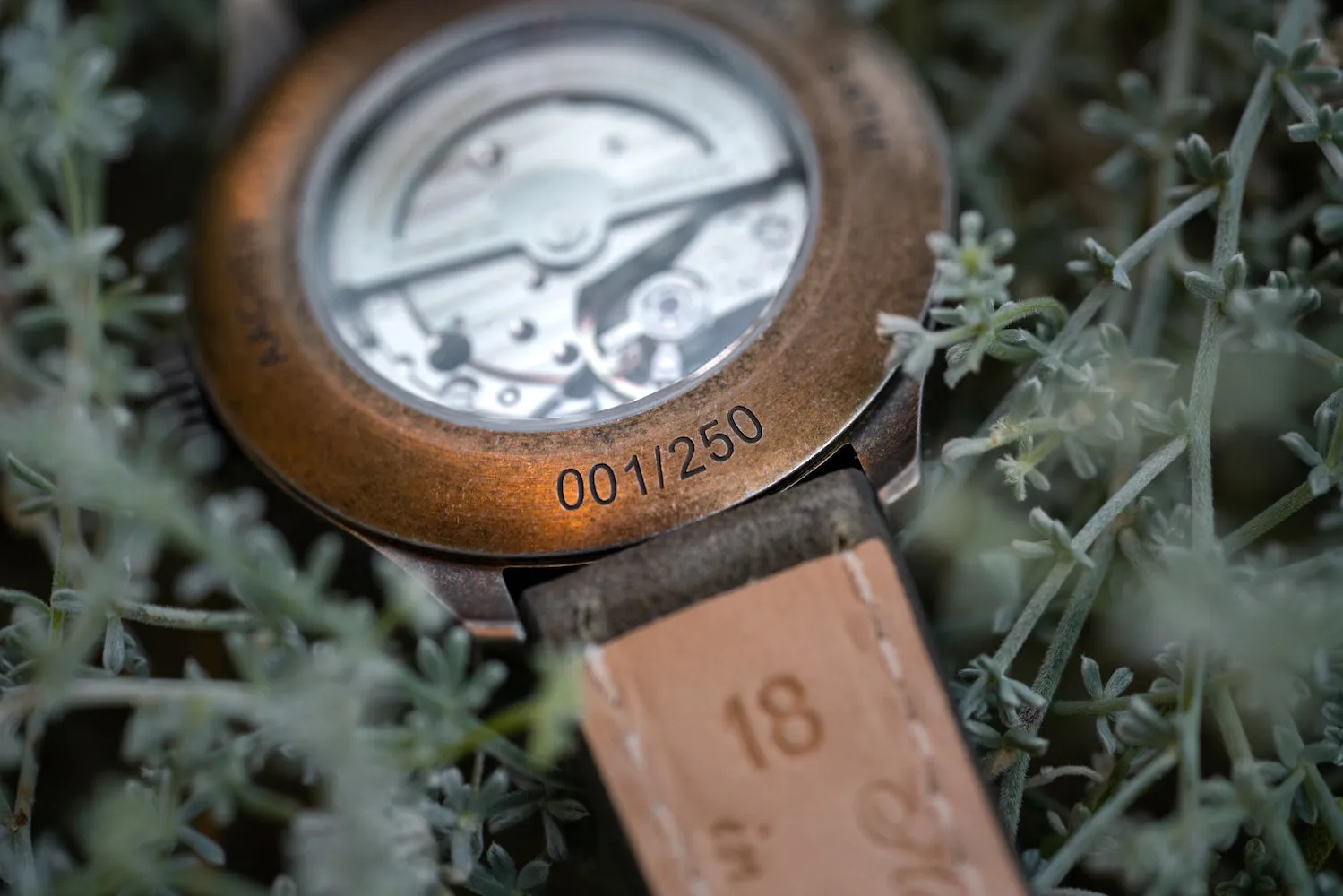 Laco Watch Aachen Olive 39 Limited Edition
