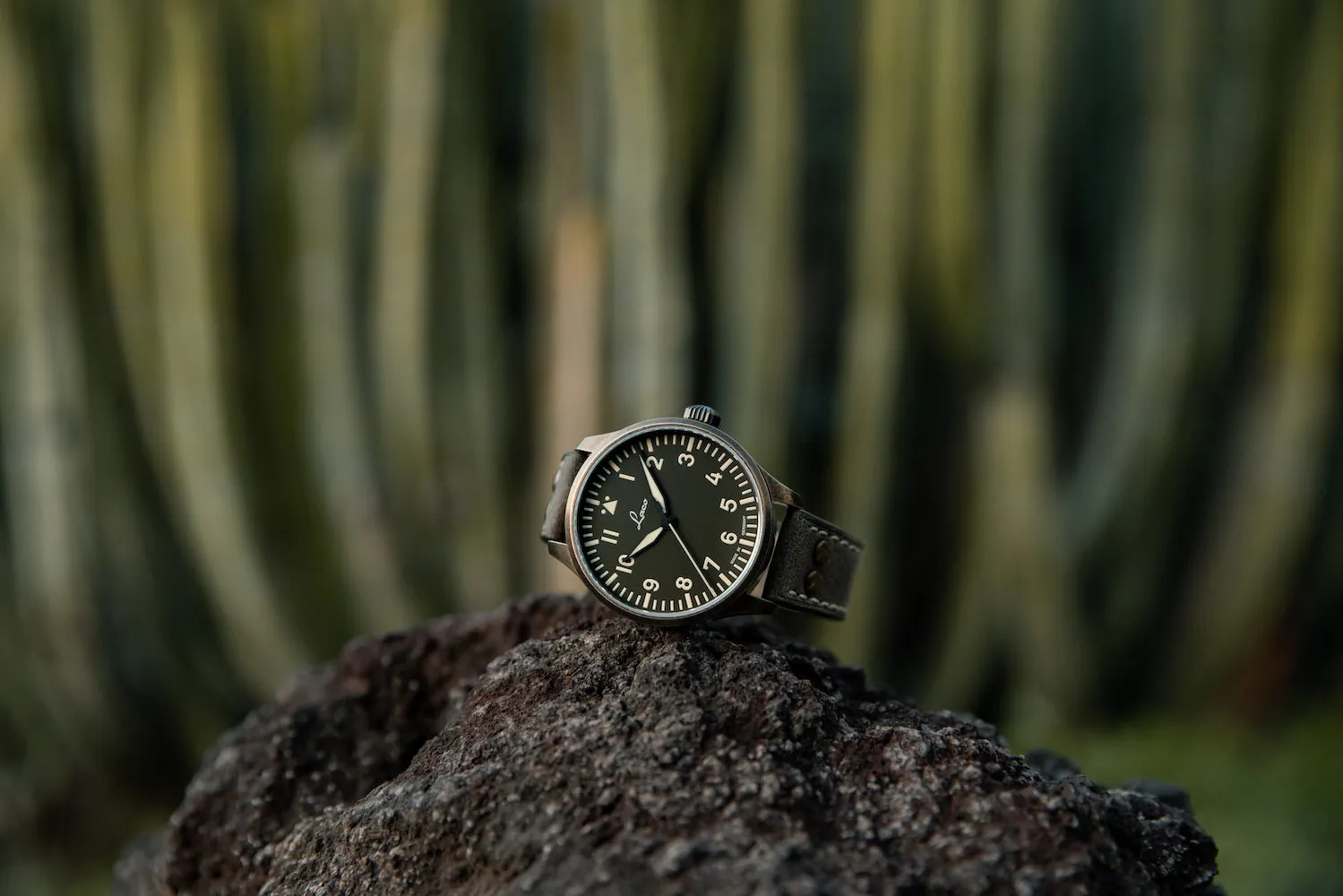 Laco Watch Augsburg Olive 39 Limited Edition