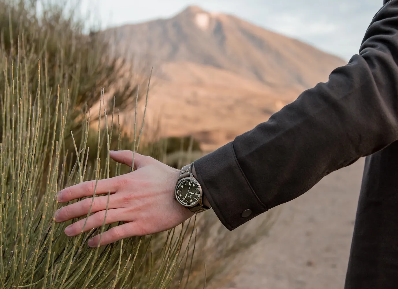Laco Watch Augsburg Olive 39 Limited Edition