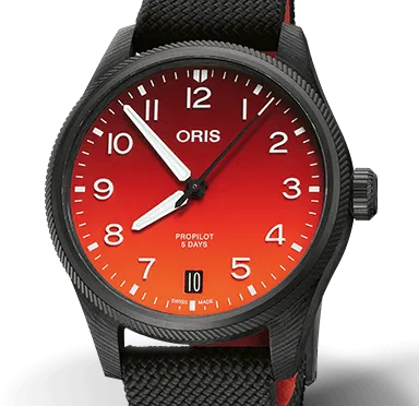 Oris Coulson Limited Edition Watch, 41mm