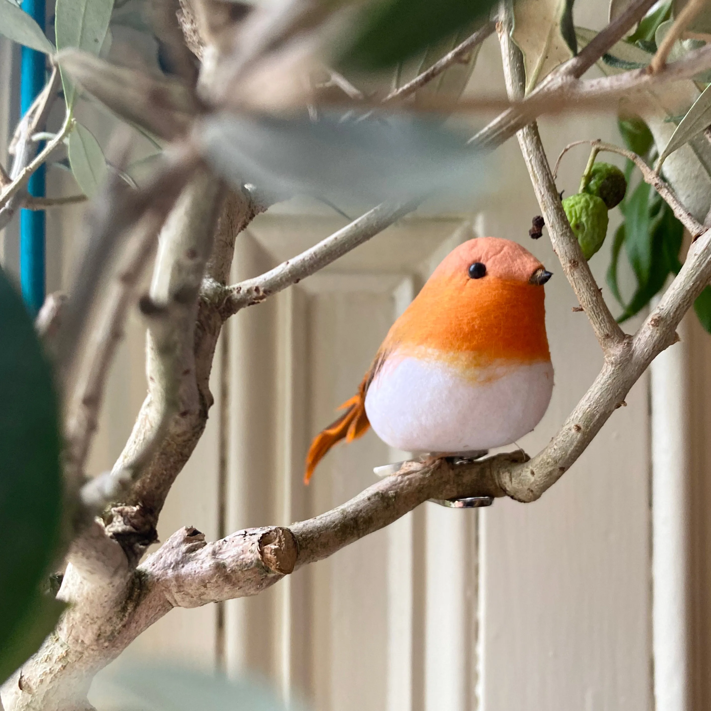 Personalised Christmas Watch Bird Game