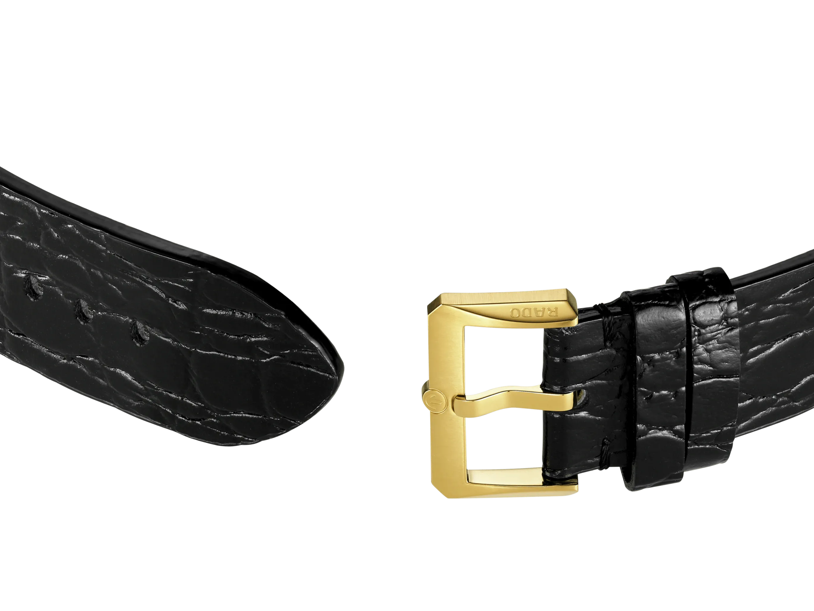 RADO Captain Cook x Marina Hoermanseder Heartbeat Women's Watch R32117708