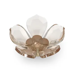 Swarovski Garden Tales Magnolia Magnet, Small