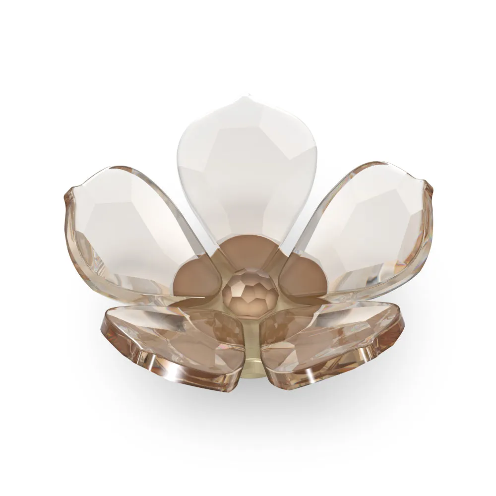 Swarovski Garden Tales Magnolia Magnet, Small
