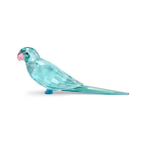 Swarovski Jungle Beats Blue Parakeet Paco