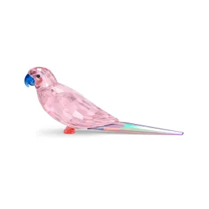 Swarovski Jungle Beats Pink Parakeet Cha Cha