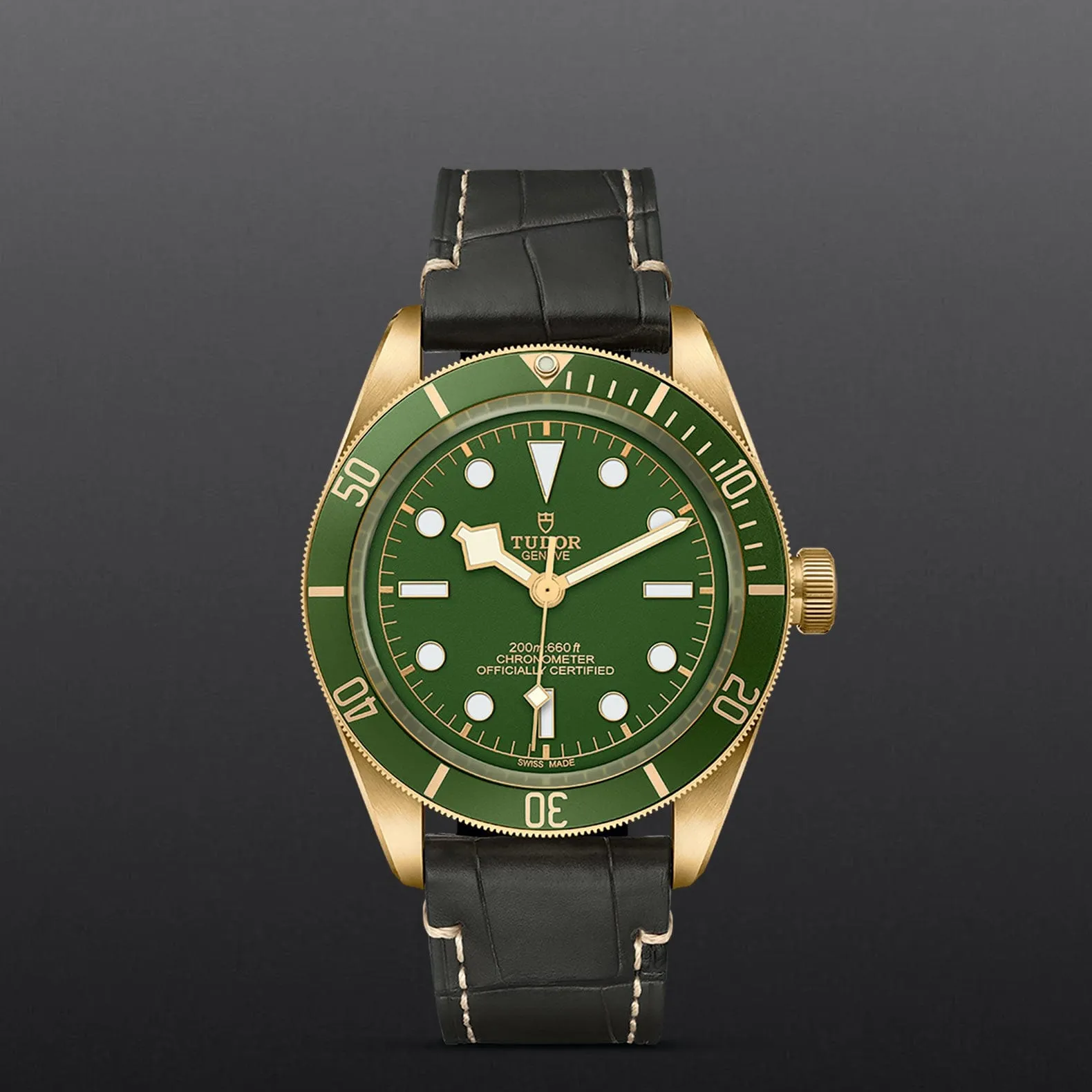 TUDOR Black Bay 58 18k