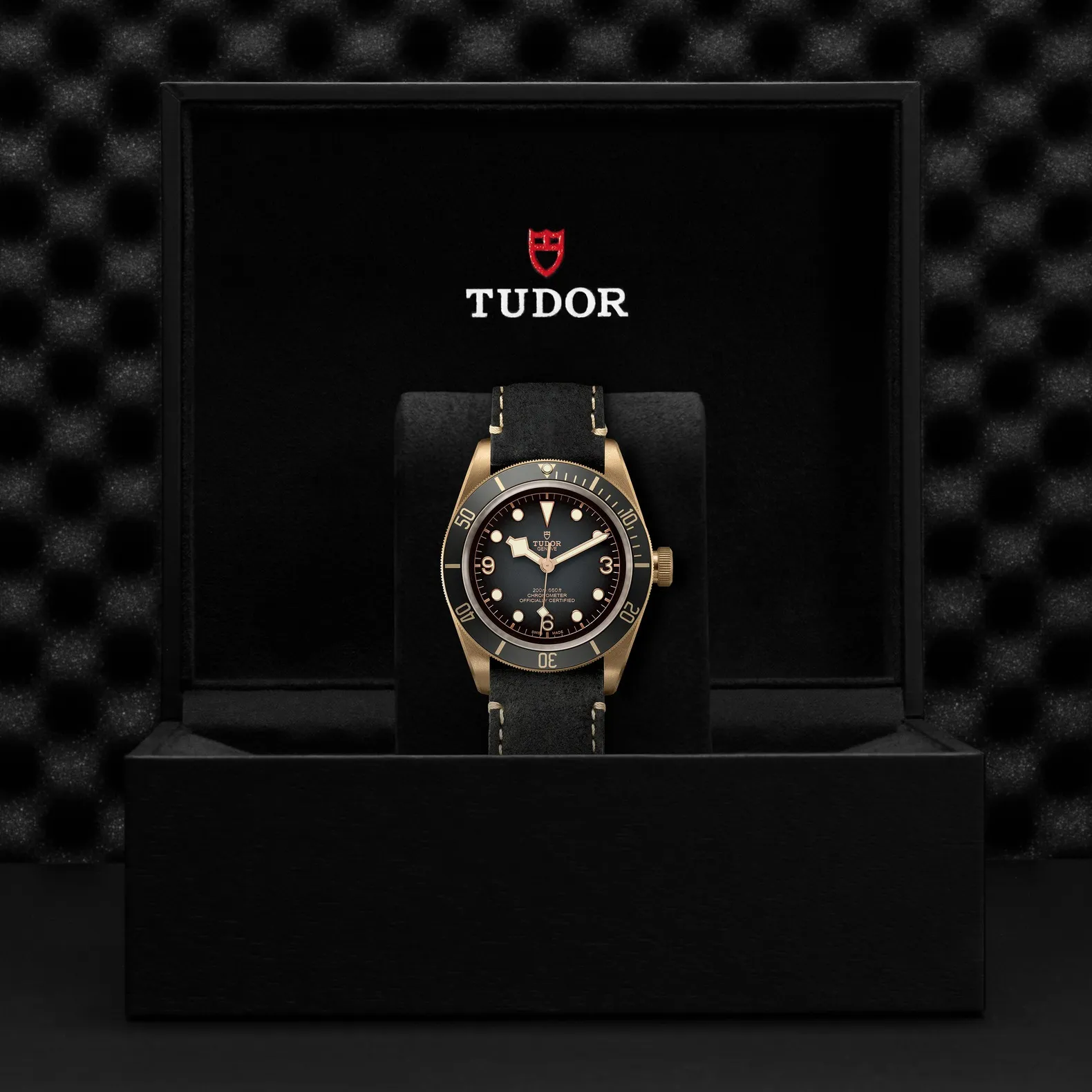 Tudor Black Bay Bronze