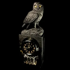 Wisdom Time and Change Owl Jet Carving