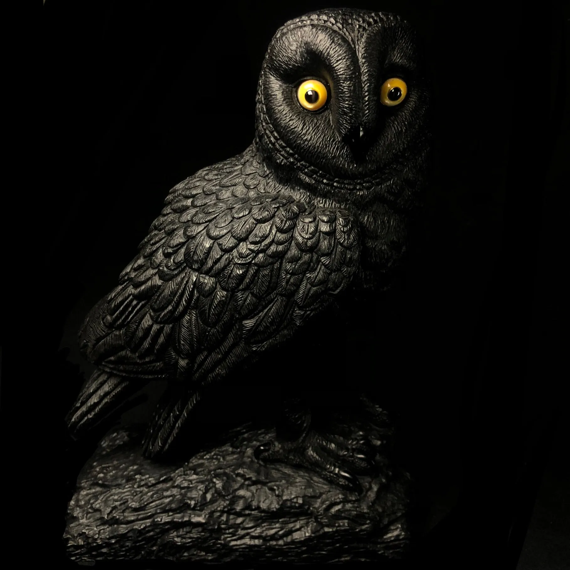 Wisdom Time and Change Owl Jet Carving